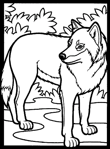 Vargar 9