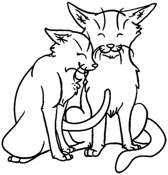 Katter 58