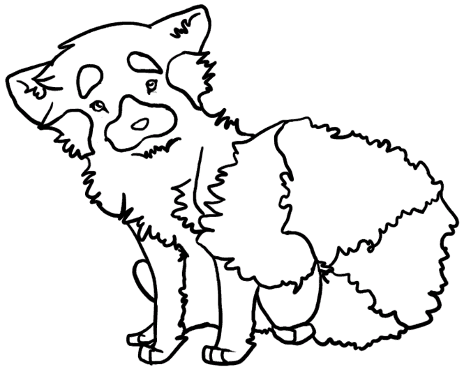 Kattbjörnar 3