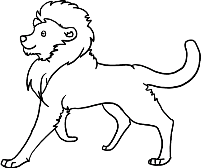 Lejon 11