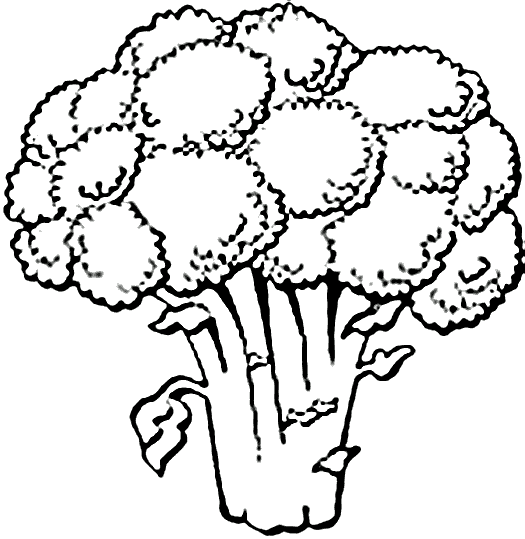 Grönsaker 8