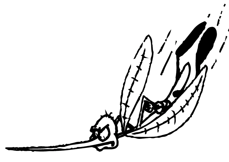 Insekter 26