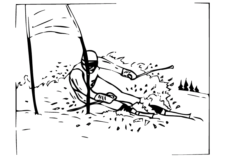 Skidåkning 8