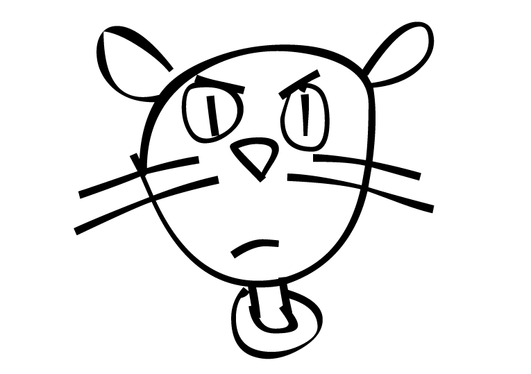 Katter 65