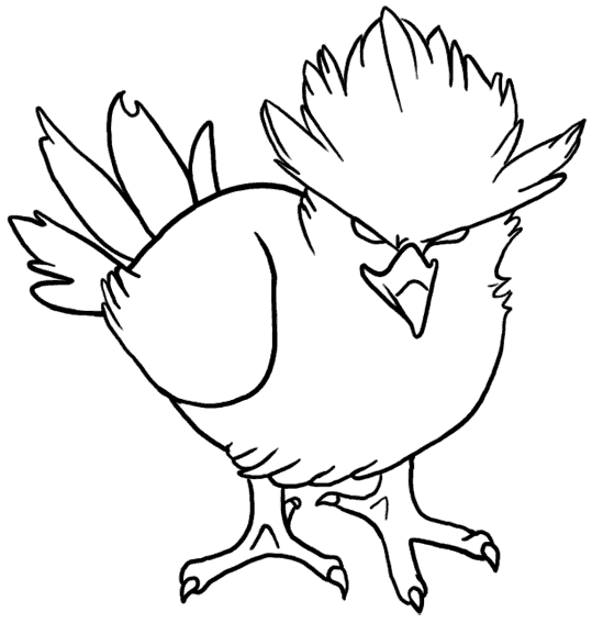 Fåglar 13