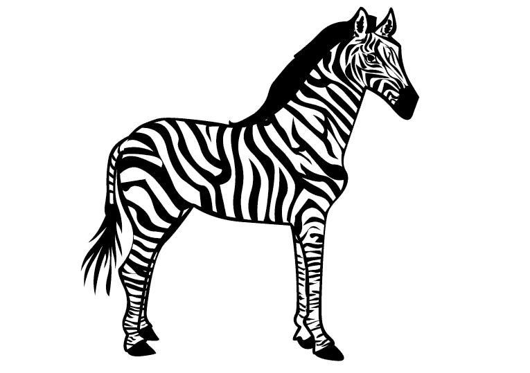Zebror 4