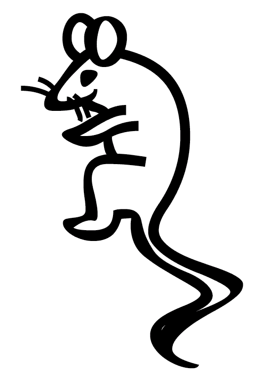Möss & Råttor 7