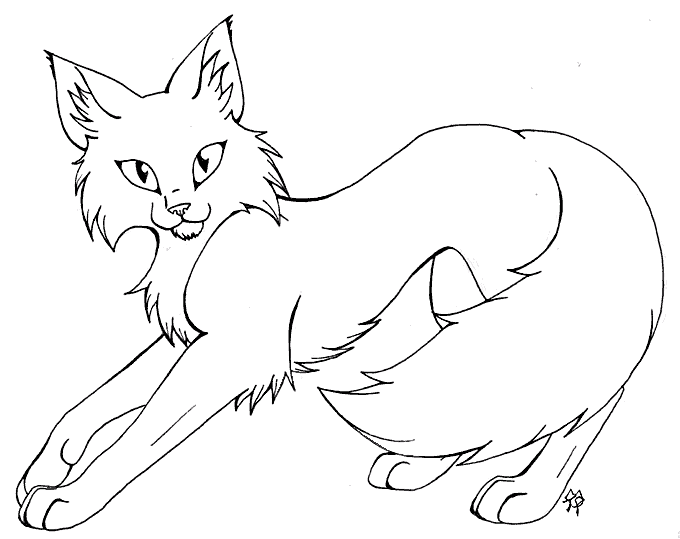 Katter 68