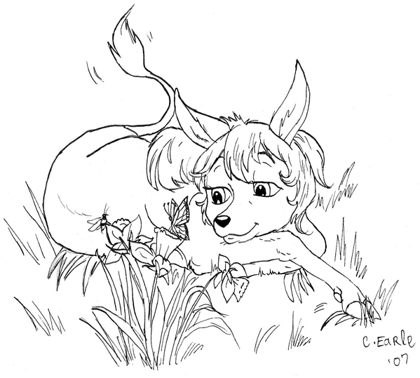 Fantasy 6