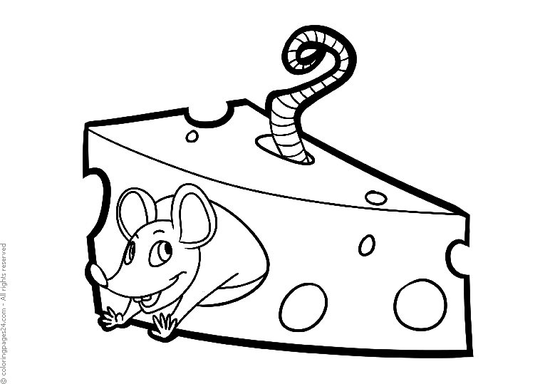 Möss & Råttor 9