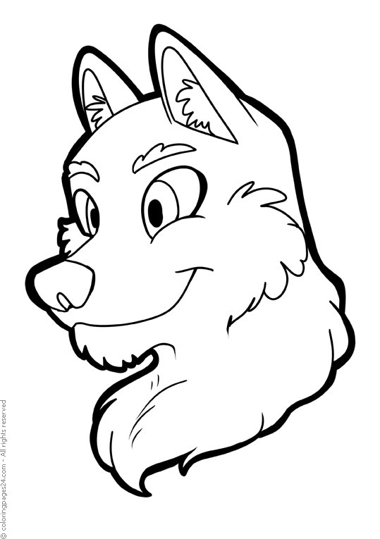 Vargar 24
