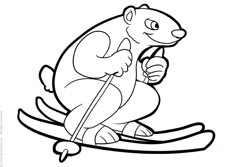 Skidåkning 11