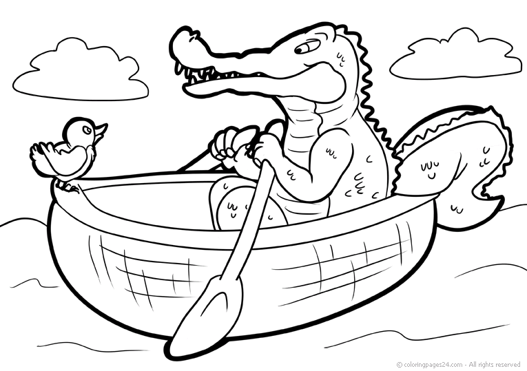 Alligatorer & Krokodiler 9