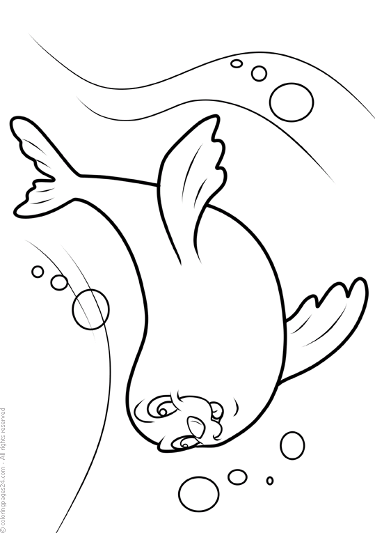 Sälar 5