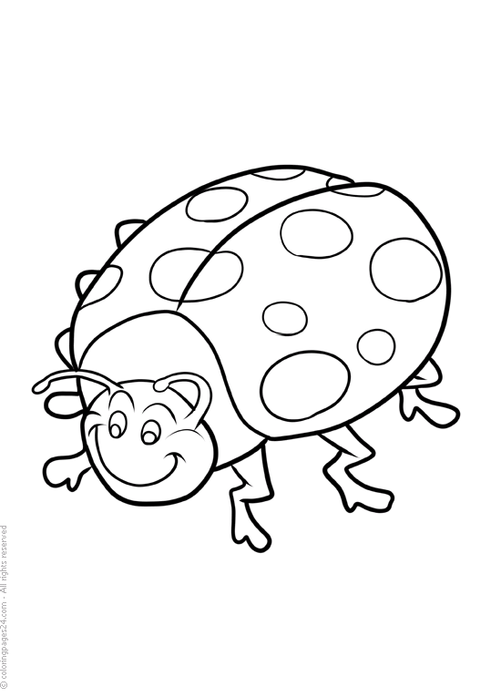 Nyckelpigor 6