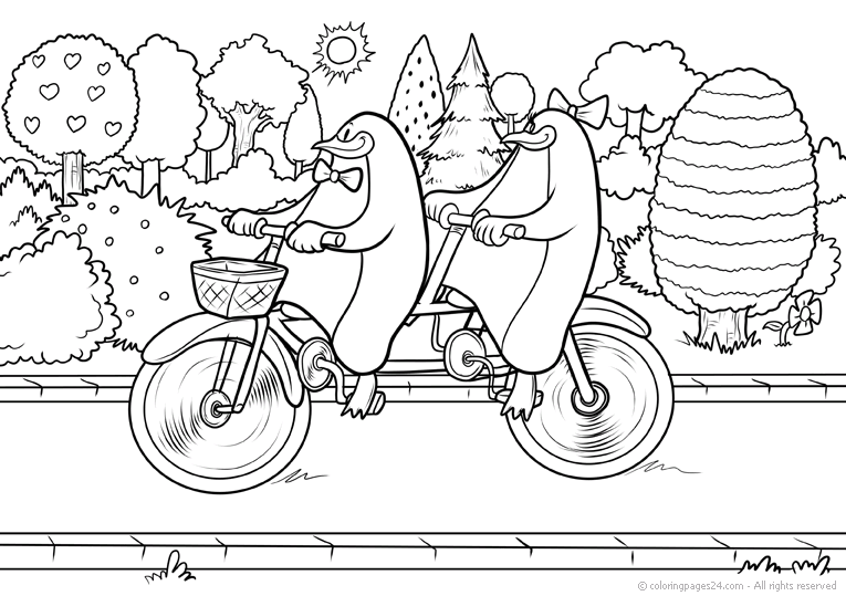 Cykling 11