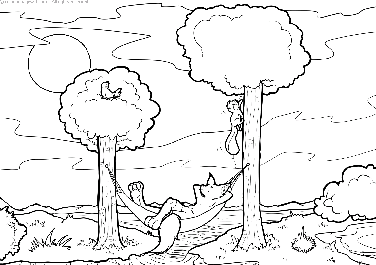 Rävar 11