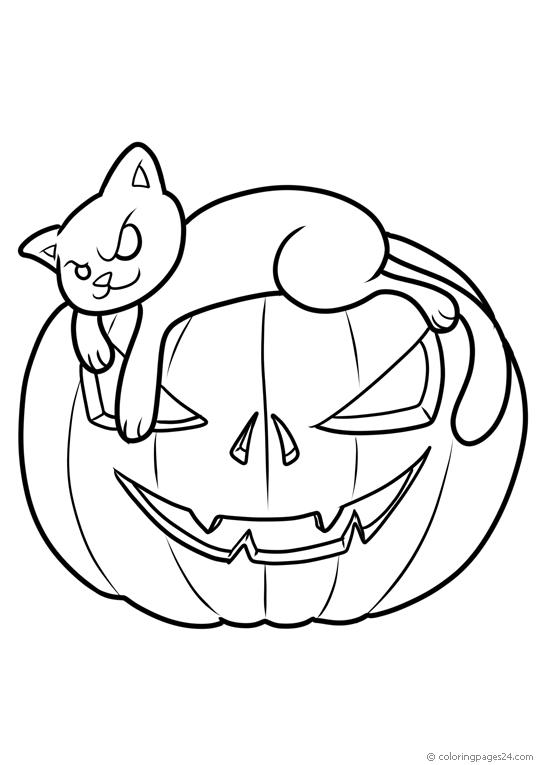 Katt vilar på en Halloween pumpa