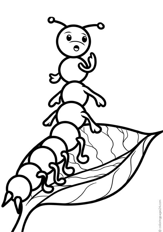 Insekter 32