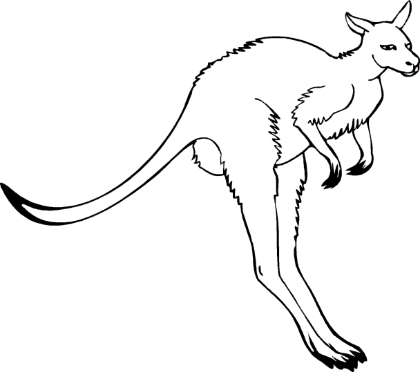 Kängurur 1