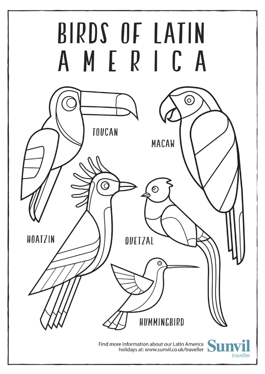 Fåglar från latinamerika