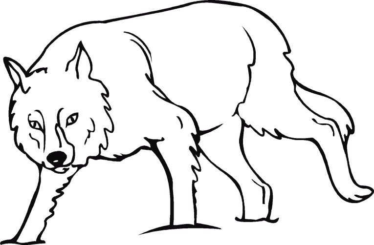 Vargar 1