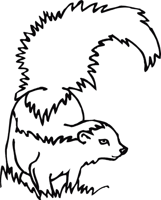Skunkar 1