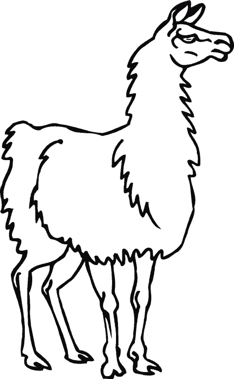 Kameler 2