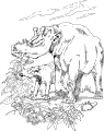 Dinosaurier - 8