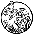 Fjärilar - 9