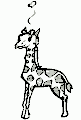 Giraffer - 3