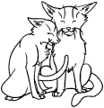 Katter - 58