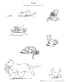 Katter - 61