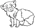 Kattbjörnar - 3