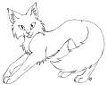 Katter - 68