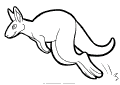 Kängurur - 3