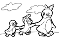 Pingviner - 6
