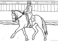 Hästkapplöpning - 9
